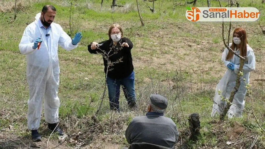 Vefa ekipleri 80 yaşındaki çiftçinin bahçesinde budama yaptı
