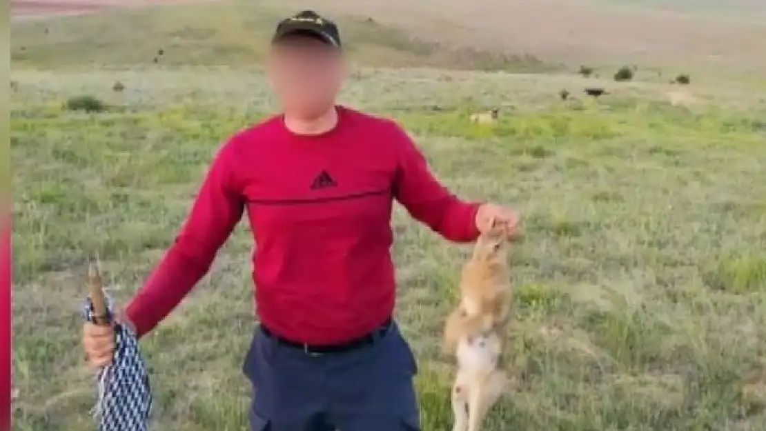 'Vurdukları tavşanı köpeklere parçalattırıp sosyal medyada paylaştılar'