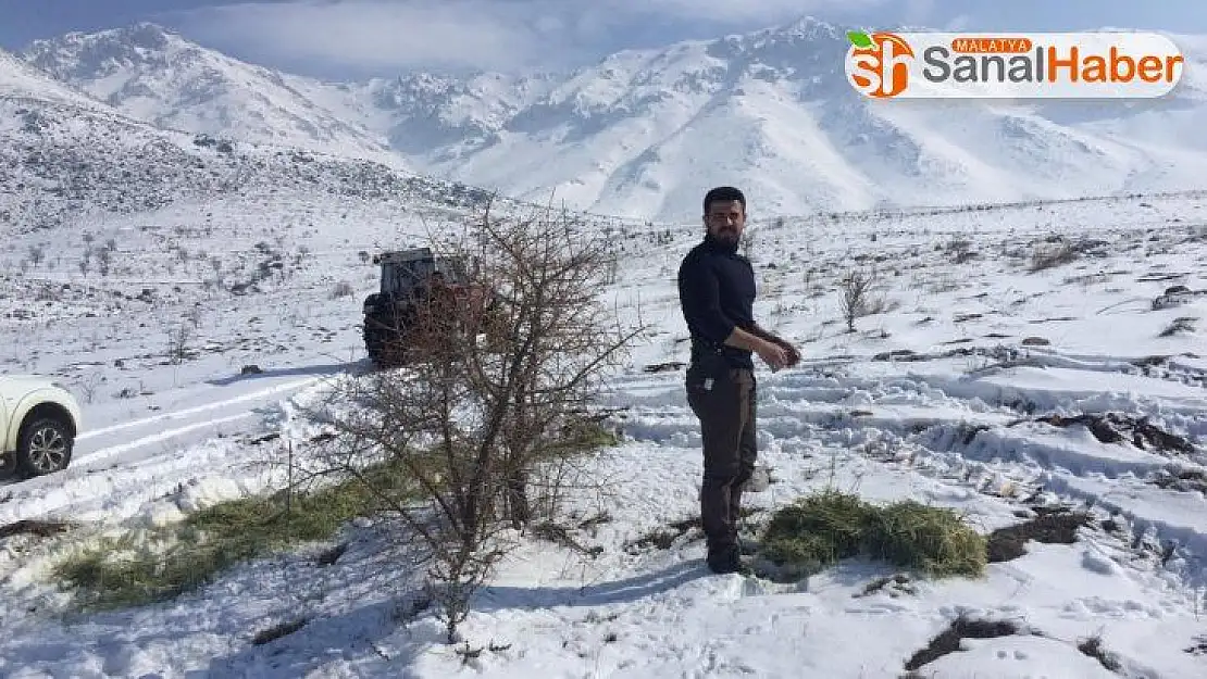 Yaban hayvanları için doğaya bir ton yem bırakıldı