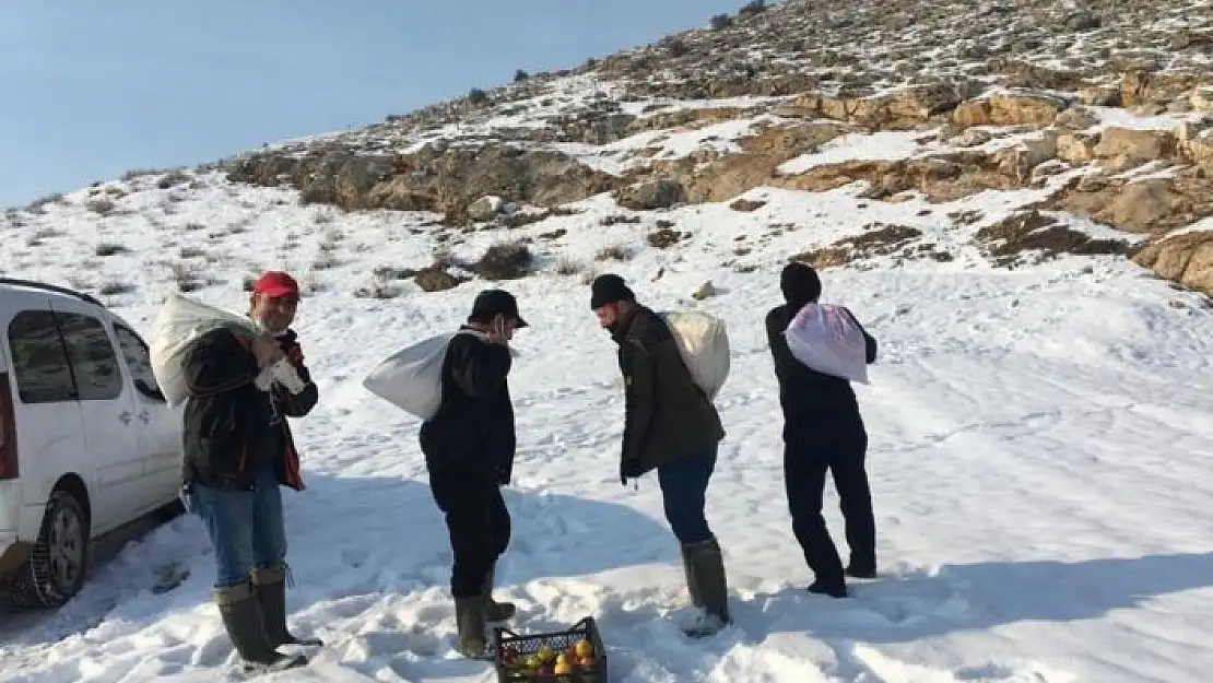 'Yaban hayvanları için doğaya yem bırakıldı'