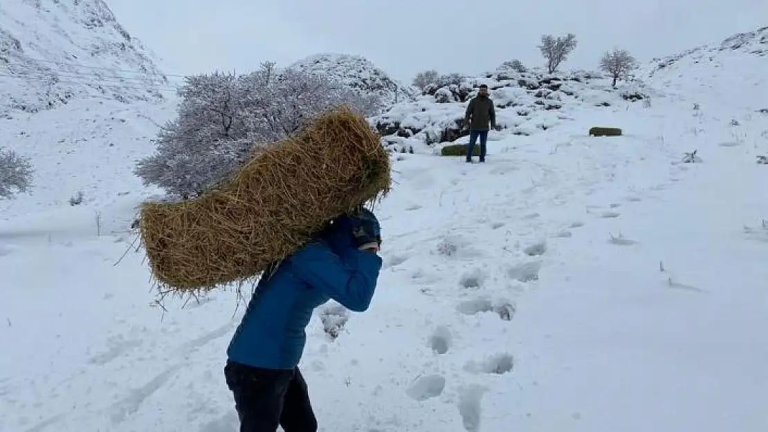 'Yaban hayvanlarına yem desteği'