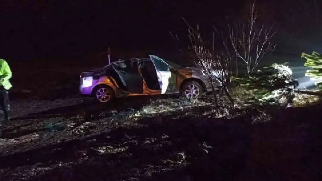 'Yağmurda kayganlaşan yol kazaya neden oldu: 3 yaralı'