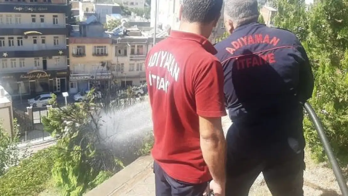 'Yanan ağaç itfaiye ekiplerince söndürüldü'