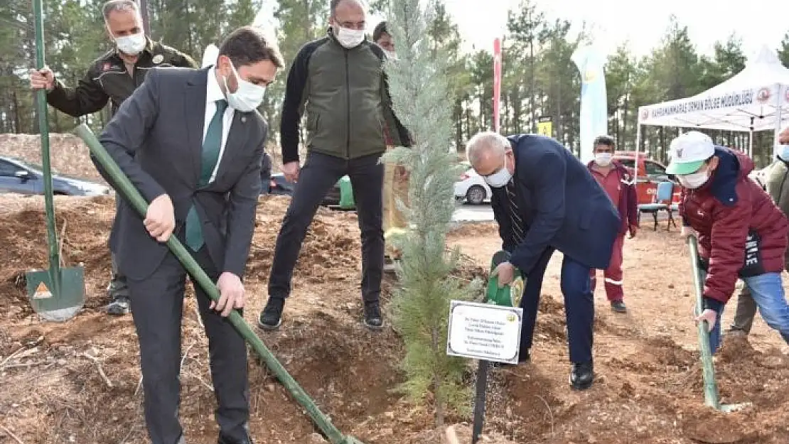 'Yanan ormanlar için fidan diktiler'
