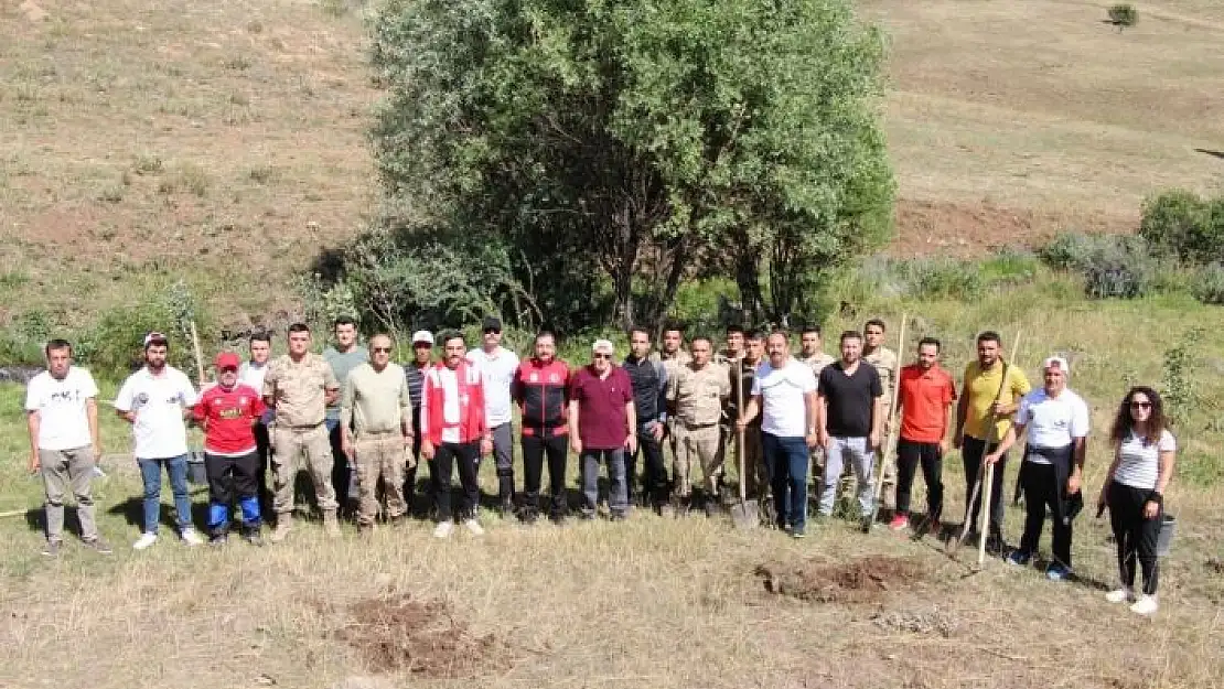 'Yangınlar anısına hatıra ormanı oluşturuldu'