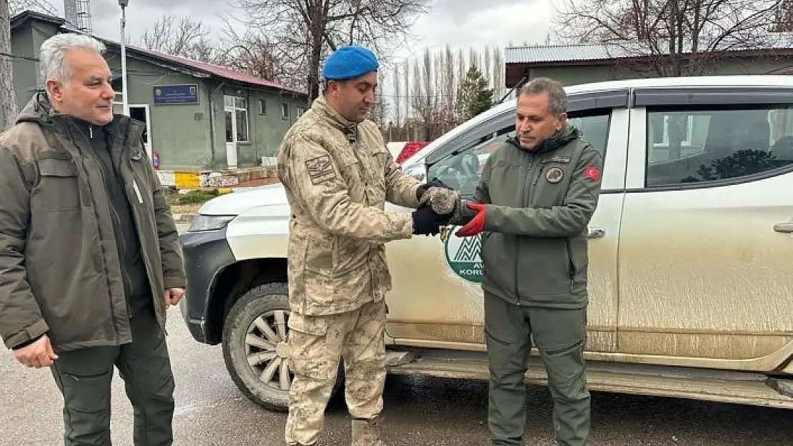 'Yaralı atmacaya jandarma ekipleri sahip çıktı'