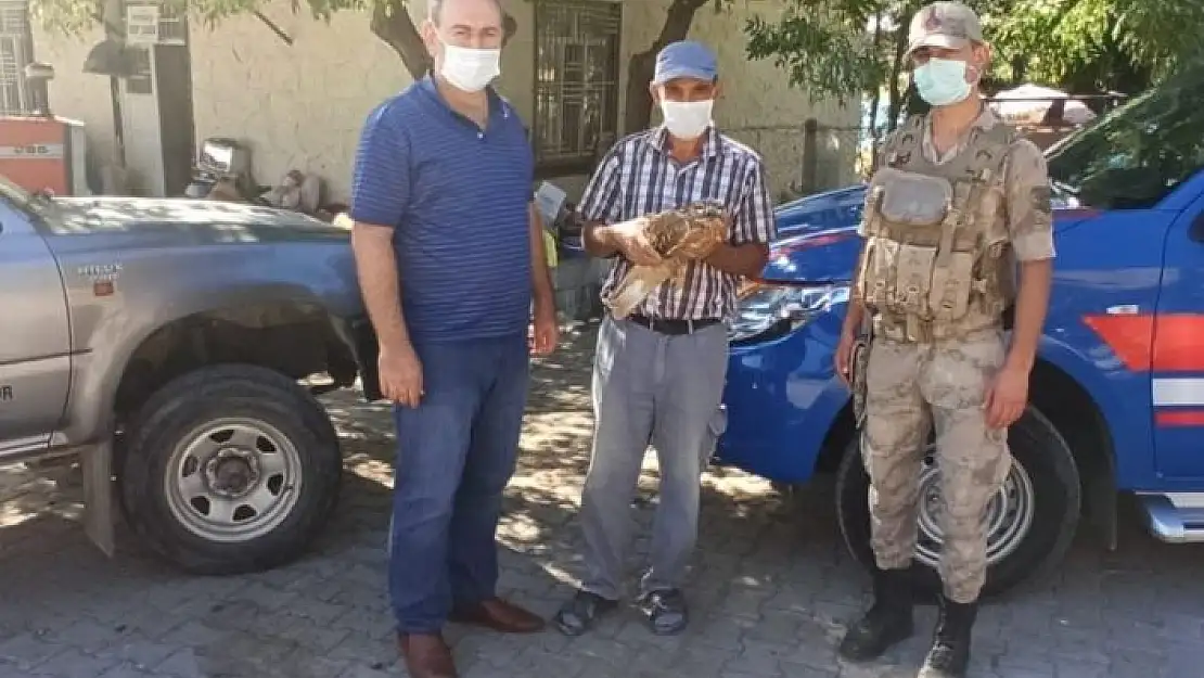 'Yaralı şahin ekipleri teslim edildi'