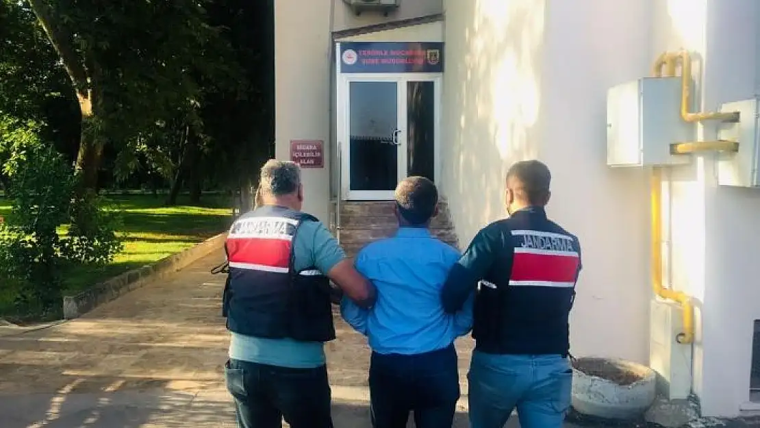 'Yaralı teröristi tedavi eden şahıs tutuklandı'