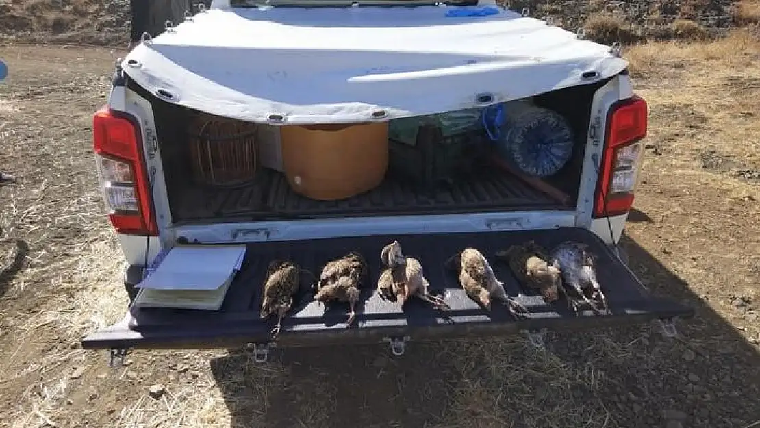 'Yasağı hiçe sayan avcılara ceza yağdı'