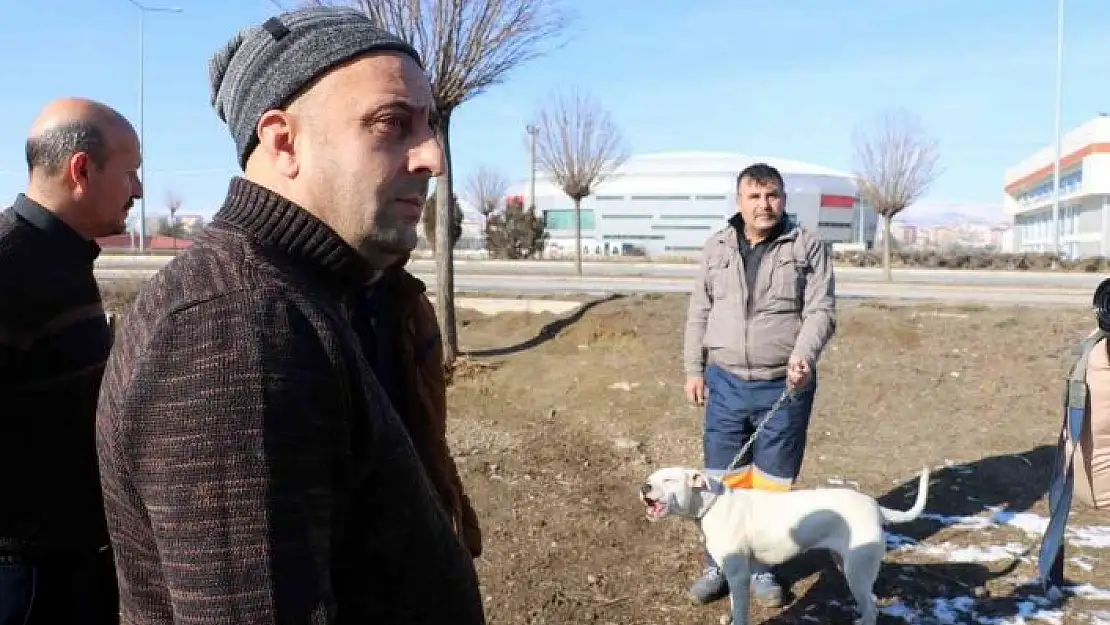 'Yasaklı ırk köpeklerini kendi elleriyle teslim ettiler'