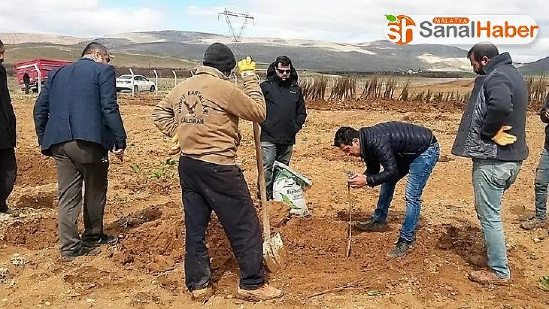 Yazıhan'da Trabzon Hurması Bahçesi kuruluyor