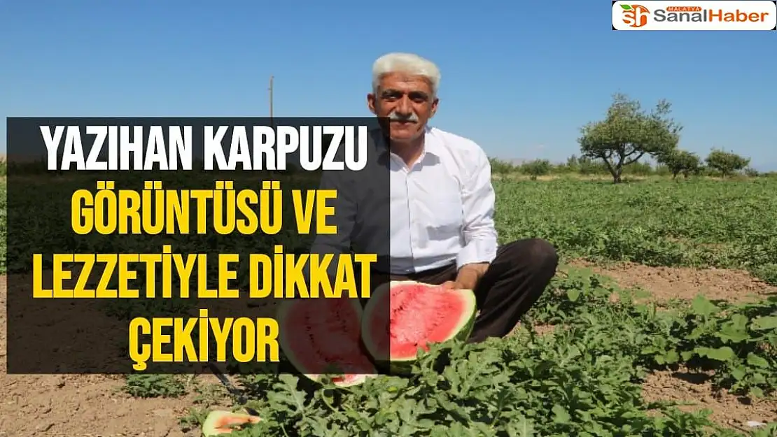 Yazıhan karpuzu görüntüsü ve lezzetiyle dikkat çekiyor