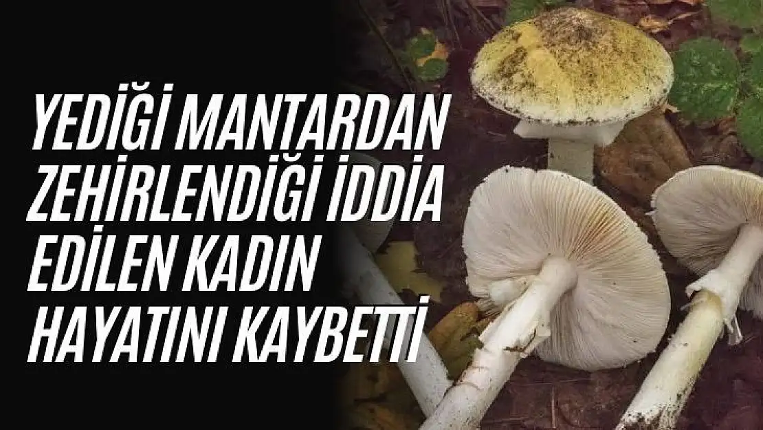 Yediği mantardan zehirlendiği iddia edilen kadın hayatını kaybetti