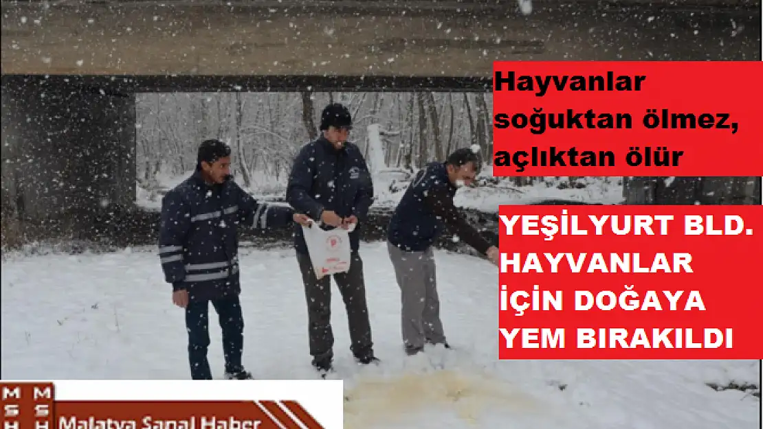 Hayvanlar Soğuktan Ölmez,   Açlıktan Ölür