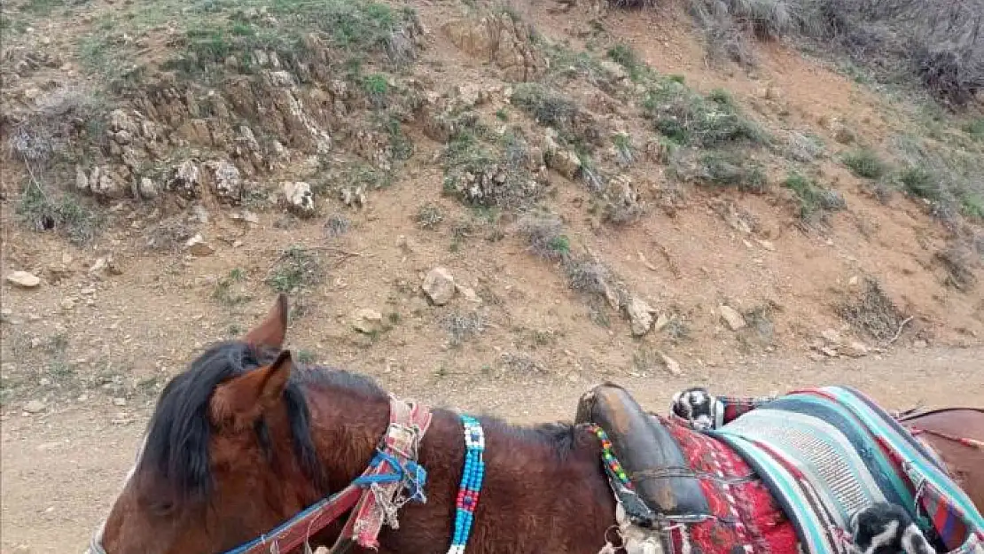 'Yeni doğan iki oğlağın heybedeki sevimli yolculuğu görenlerin içini ısıttı'