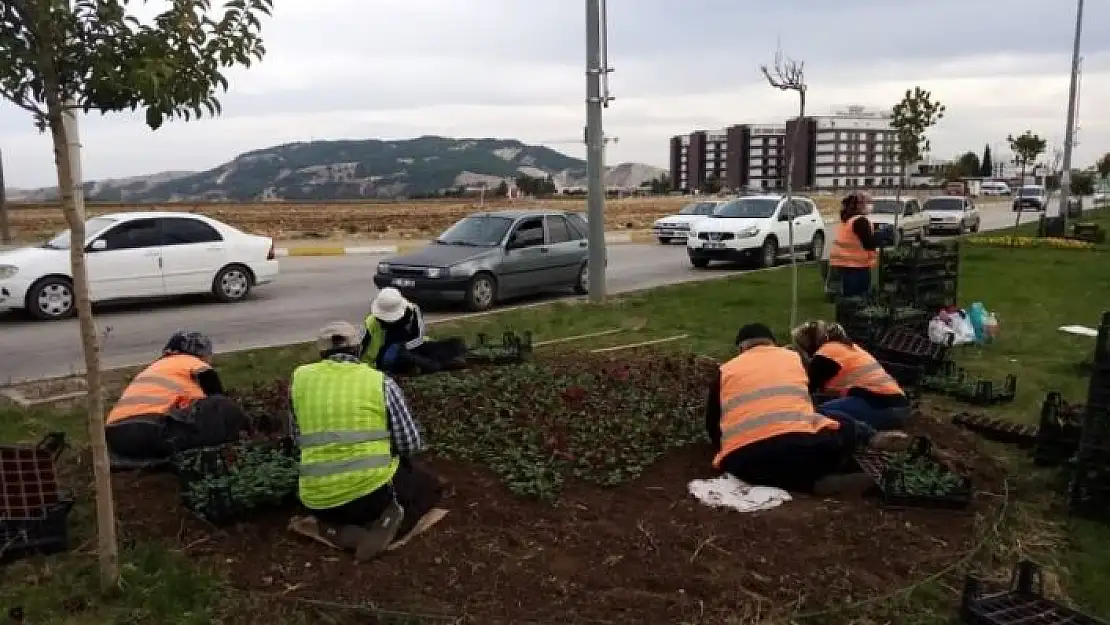 'Yeşil alanlarda mevsimsel bakım çalışmaları yapılıyor'