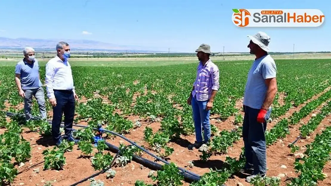 Yeşilyurt Belediyesi tarımsal arge sahasında üretimler hız kazandı