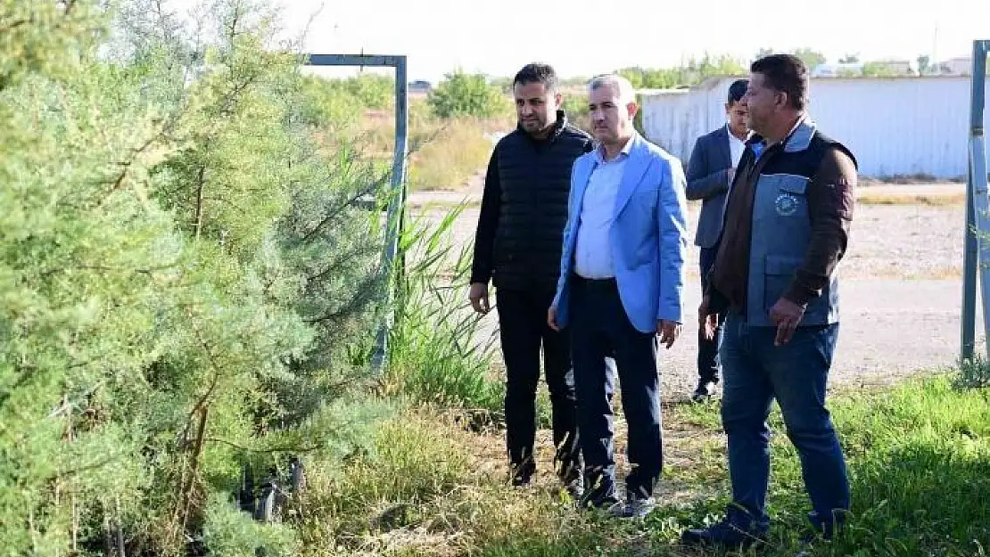 'Yeşilyurt Beylerderesi Şehir Parkı yeşillenecek'