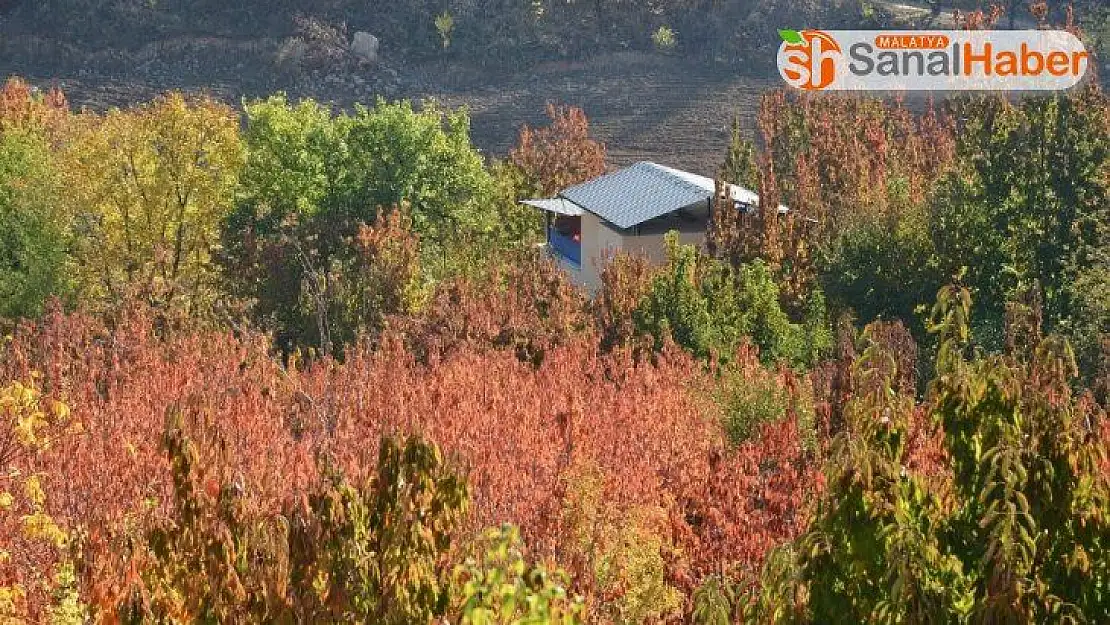 Yeşilyurt'ta sonbahar