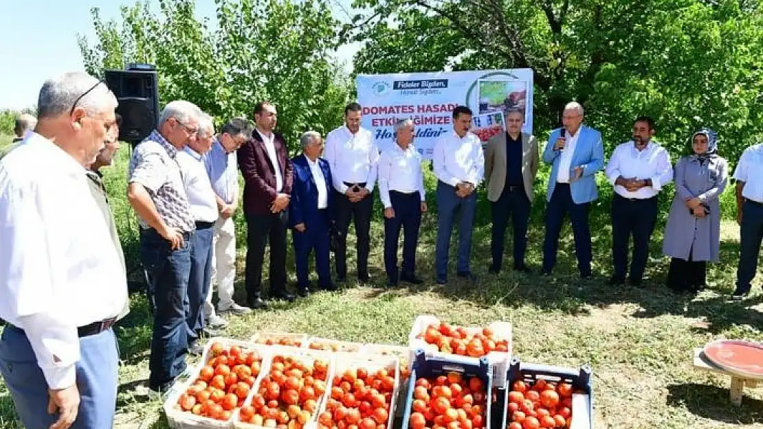 'Yeşilyurt´ta domates hasat etkinliği'