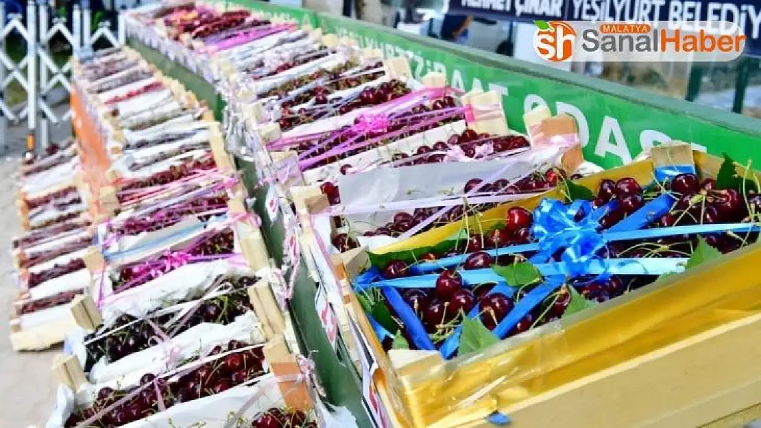 Yeşilyurt'ta en iyi kiraz ve bahçesi ödülleri sahiplerini buldu