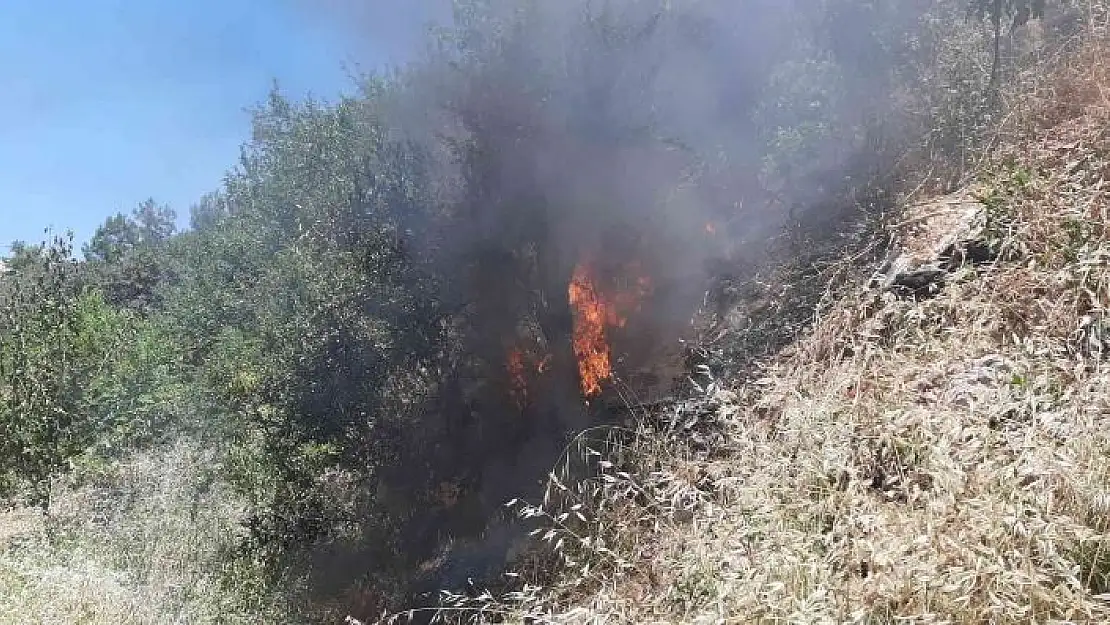 'Yılan korkusundan bahçeyi yaktı'