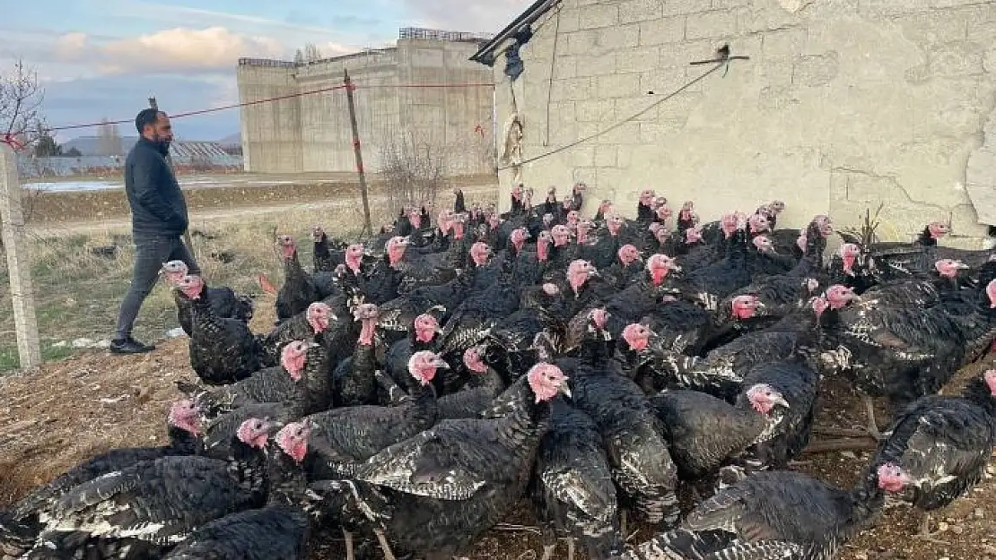 'Yılbaşı öncesi yurt dışına 15 bin adet hindi gönderdi'