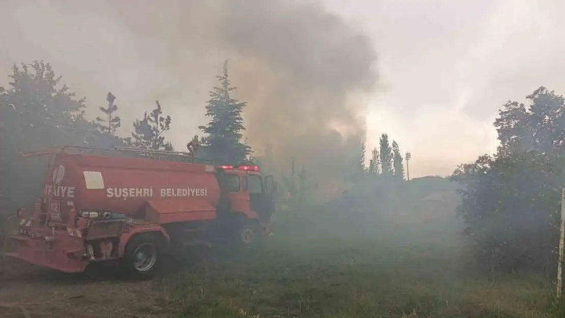 'Yıldırımın düştüğü barakaya yanarak kül oldu'