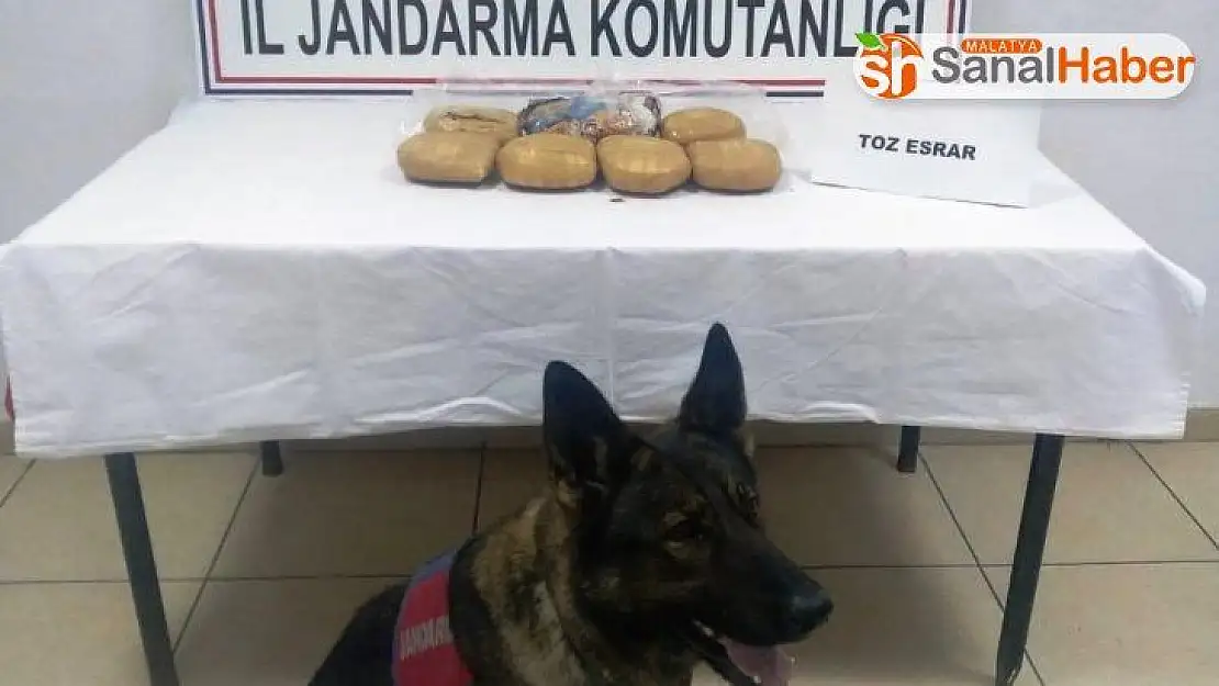 Malatya´da Jandarmadan zehir tacirlerine geçit yok