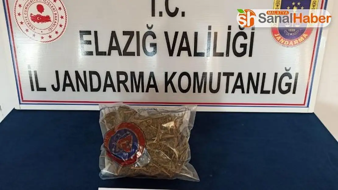 Yolcunun çantasından yarım kilo esrar çıktı