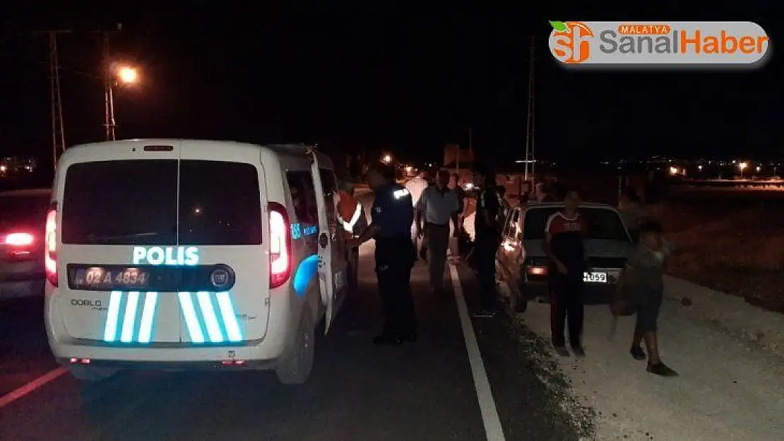 Yoldan geçen hayvanlara çarpıp kaçtı