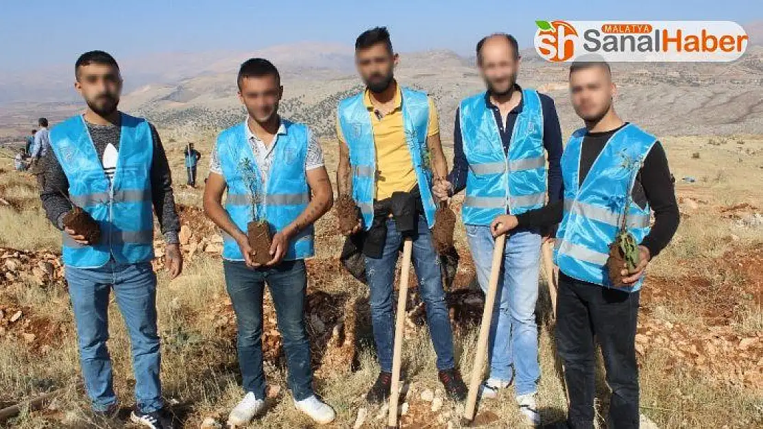 Yükümlüler badem fidanı dikti