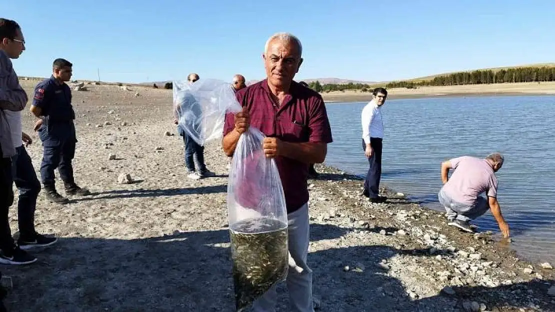 'Yüz bin adet sazan yavrusu göletlere bırakıldı'