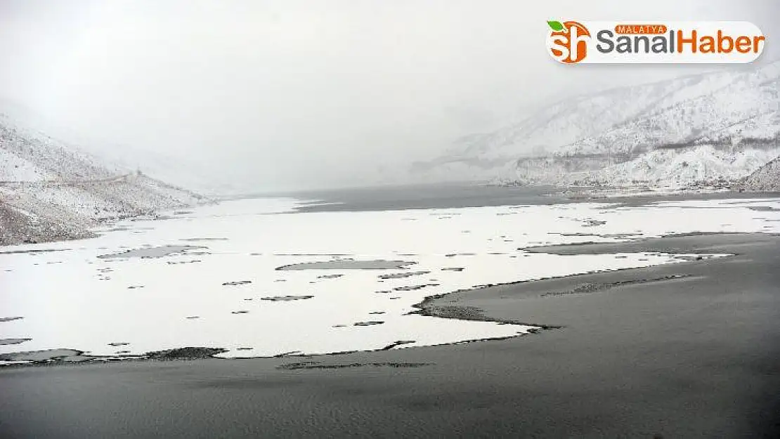 Yüzen adalar buz kesti