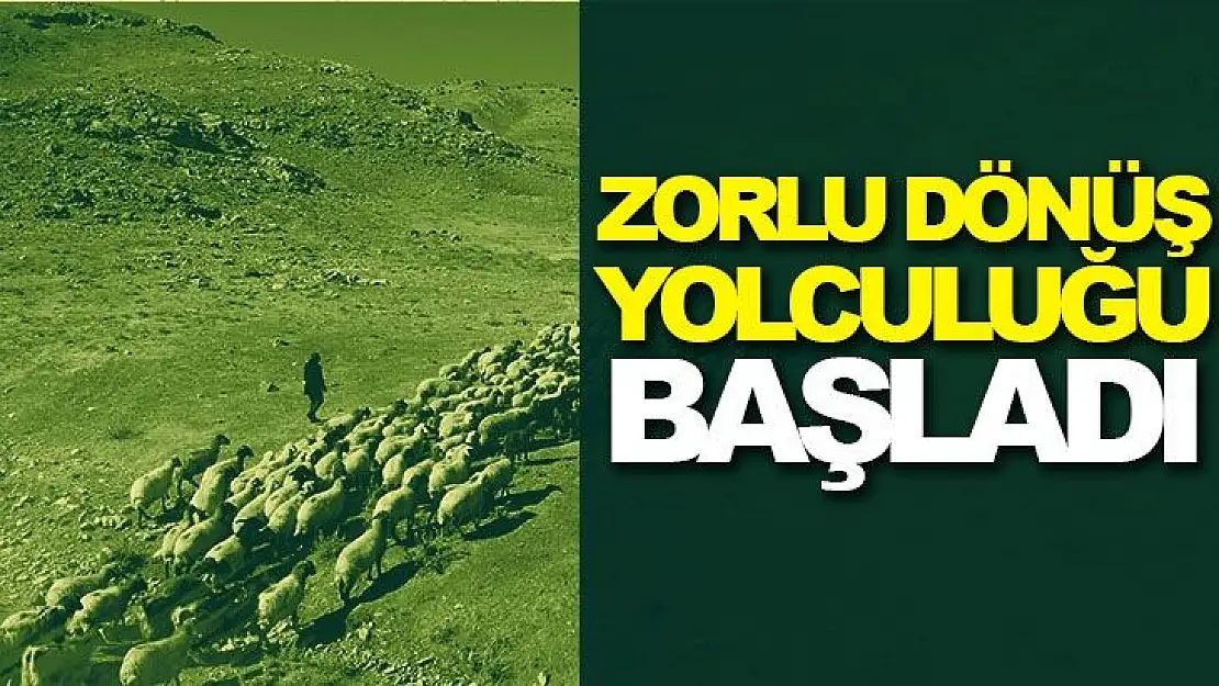 Zorlu dönüş yolculuğu başladı