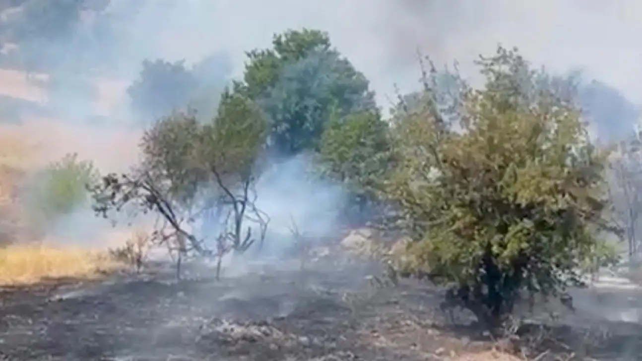 Doğanyol Yalınca mevkiinde orman yangını