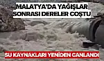 Malatya'da Yağışlar Sonrası Dereler Coştu, Su Kaynakları Yeniden Canlandı