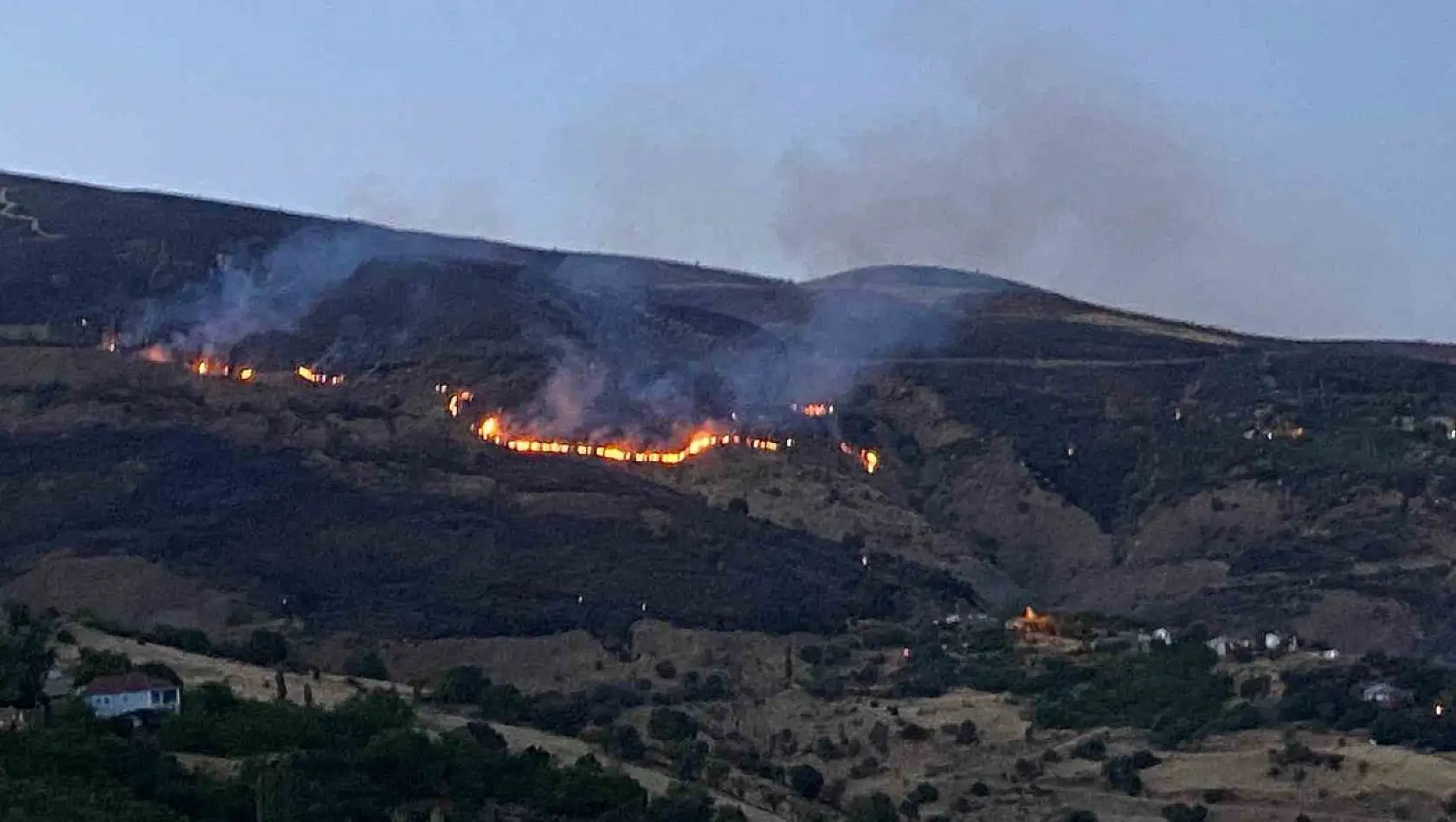 İtfaiye erleri yangından kurtardığı kaplumbağaya su verdi