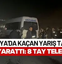 Malatya'da Kaçan Yarış Tayları Facia Yarattı: 8 Tay Telef Oldu