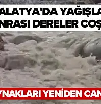 Malatya'da Yağışlar Sonrası Dereler Coştu, Su Kaynakları Yeniden Canlandı