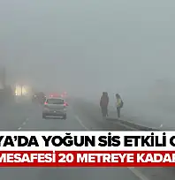 Malatya'da yoğun sis etkili oluyor, görüş mesafesi 20 metreye kadar düştü
