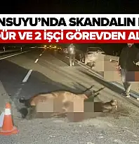 Sultansuyu'nda Skandalın Bedeli: Müdür Ve 2 İşçi Görevden Alındı