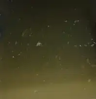 TOKİ 2. Etap'ta Bodrum Katları Su Bastı, Vatandaşlar Tepkili