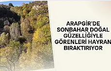 Arapgir'de sonbahar doğal güzelliğiyle görenleri hayran bıraktırıyor