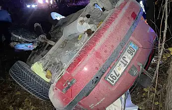 Kontrolden çıkan otomobil kayısı bahçesine uçtu: 1 yaralı