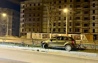 Köpeğe Çarpan Otomobil Kontrolden Çıkıp Refüje Çarptı