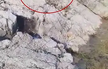 Malatya'da amatör balıkçı ile kedi arasındaki diyalog gülümsetti