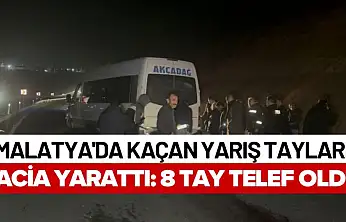 Malatya'da Kaçan Yarış Tayları Facia Yarattı: 8 Tay Telef Oldu