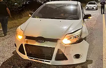 Malatya'da otomobilin çarptığı domuz telef oldu