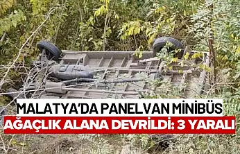 Malatya'da Panelvan Minibüs Ağaçlık Alana Devrildi: 3 Yaralı